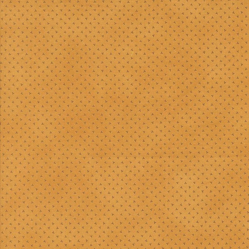 Pumpkin Spice Gatherings - Små frø på oransjegul bunn - 50cm