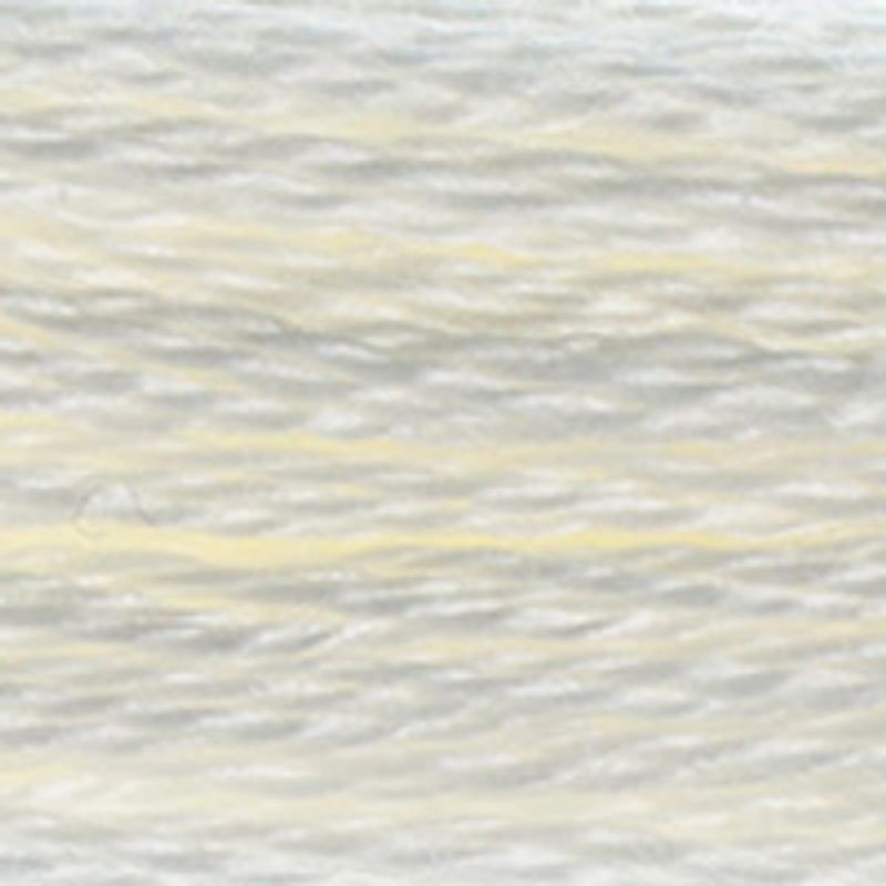 DMC Mouline 3865 