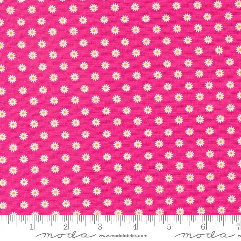 Margeritter på hot pink 70cm igjen