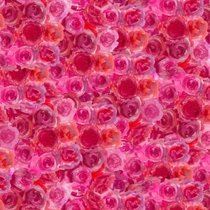 Faboolous - roser - 50cm