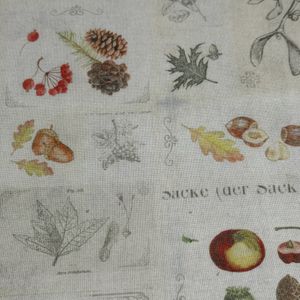 Herbarium 