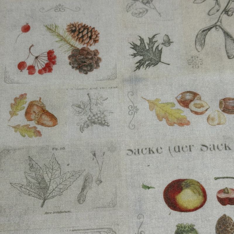Herbarium 