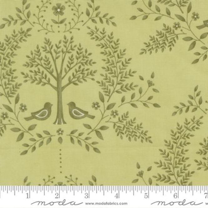 Hovedbilde Family Tree Eucalyptus - ...