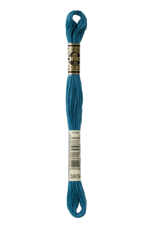 DMC Mouline 3809