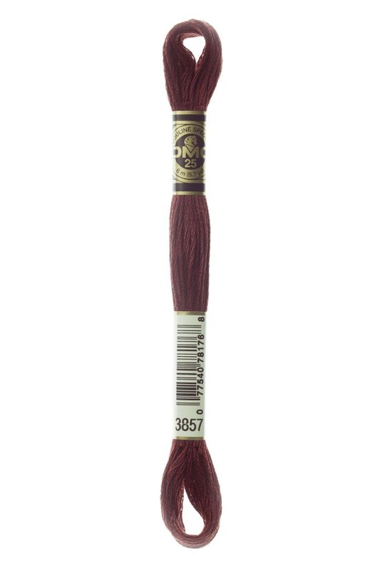 DMC Mouline 3857